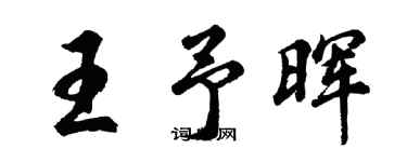 胡问遂王予晖行书个性签名怎么写