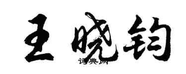 胡问遂王晓钧行书个性签名怎么写