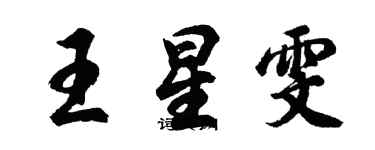 胡问遂王星雯行书个性签名怎么写