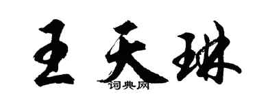 胡问遂王天琳行书个性签名怎么写