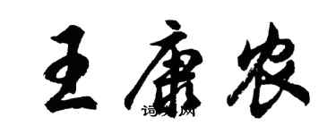 胡问遂王康农行书个性签名怎么写