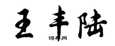 胡问遂王丰陆行书个性签名怎么写