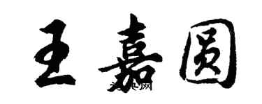 胡问遂王嘉圆行书个性签名怎么写