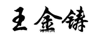胡问遂王金铸行书个性签名怎么写