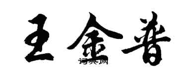 胡问遂王金普行书个性签名怎么写