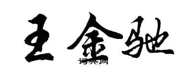 胡问遂王金驰行书个性签名怎么写