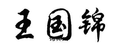 胡问遂王国锦行书个性签名怎么写