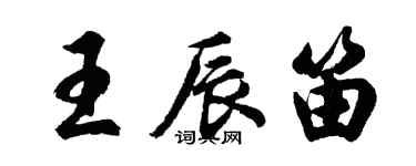 胡问遂王辰笛行书个性签名怎么写