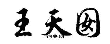 胡问遂王天囡行书个性签名怎么写