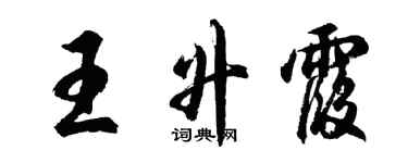 胡问遂王升霞行书个性签名怎么写