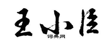 胡问遂王小臣行书个性签名怎么写