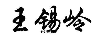 胡问遂王锡岭行书个性签名怎么写