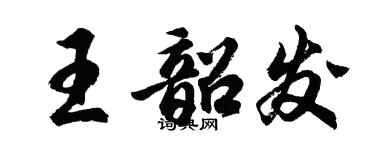 胡问遂王韶发行书个性签名怎么写