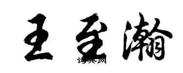 胡问遂王至瀚行书个性签名怎么写