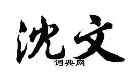 胡问遂沈文行书个性签名怎么写