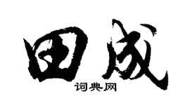 胡问遂田成行书个性签名怎么写