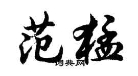 胡问遂范猛行书个性签名怎么写