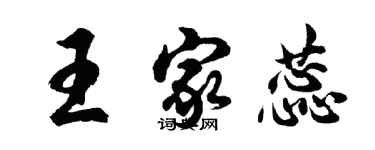胡问遂王家蕊行书个性签名怎么写