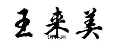 胡问遂王来美行书个性签名怎么写