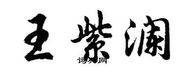 胡问遂王紫澜行书个性签名怎么写