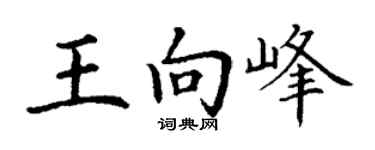 丁谦王向峰楷书个性签名怎么写