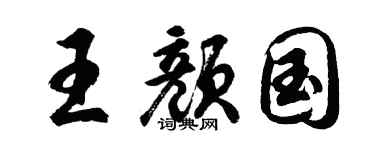 胡问遂王颜国行书个性签名怎么写