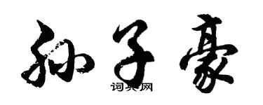 胡问遂孙子豪行书个性签名怎么写