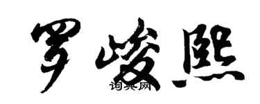 胡问遂罗峻熙行书个性签名怎么写