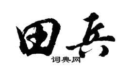 胡问遂田兵行书个性签名怎么写