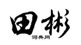 胡问遂田彬行书个性签名怎么写