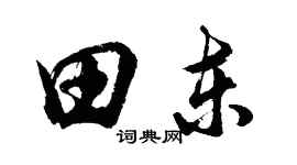 胡问遂田东行书个性签名怎么写