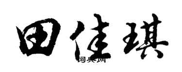 胡问遂田佳琪行书个性签名怎么写