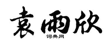 胡问遂袁雨欣行书个性签名怎么写