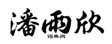 胡问遂潘雨欣行书个性签名怎么写