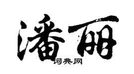 胡问遂潘丽行书个性签名怎么写