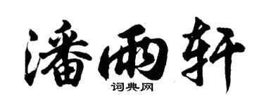 胡问遂潘雨轩行书个性签名怎么写