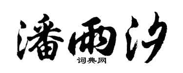 胡问遂潘雨汐行书个性签名怎么写