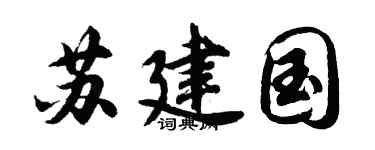 胡问遂苏建国行书个性签名怎么写