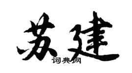 胡问遂苏建行书个性签名怎么写