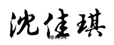 胡问遂沈佳琪行书个性签名怎么写