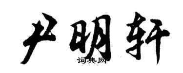 胡问遂尹明轩行书个性签名怎么写
