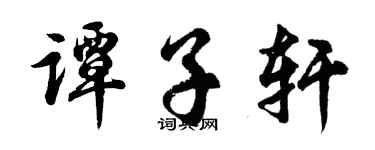 胡问遂谭子轩行书个性签名怎么写