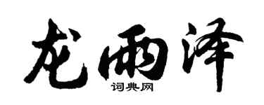 胡问遂龙雨泽行书个性签名怎么写