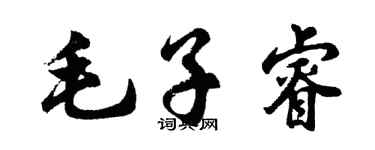 胡问遂毛子睿行书个性签名怎么写