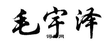 胡问遂毛宇泽行书个性签名怎么写