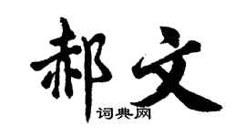 胡问遂郝文行书个性签名怎么写