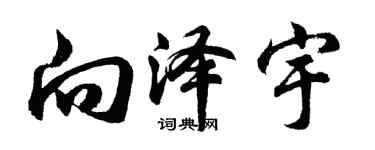 胡问遂向泽宇行书个性签名怎么写