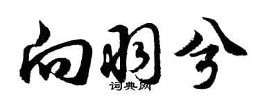 胡问遂向羽兮行书个性签名怎么写