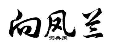 胡问遂向凤兰行书个性签名怎么写