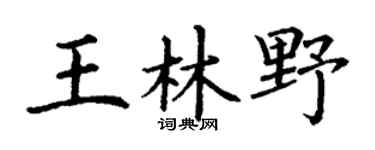 丁谦王林野楷书个性签名怎么写